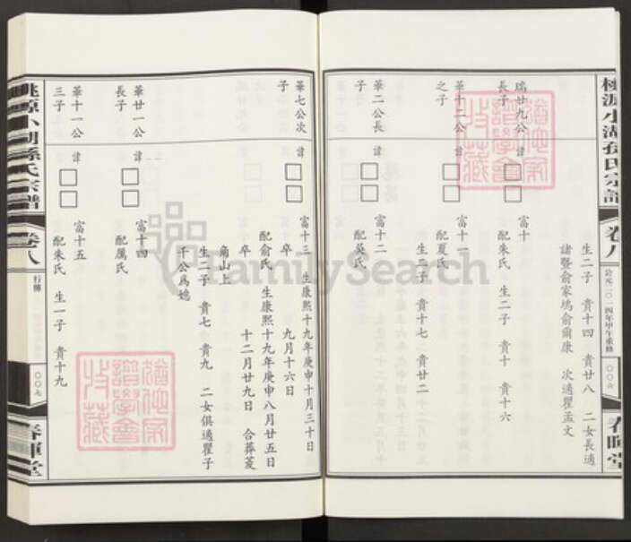 浙江省杭州市萧山区孙氏族谱-桃源小湖孙氏宗谱.pdf电子版预览图5