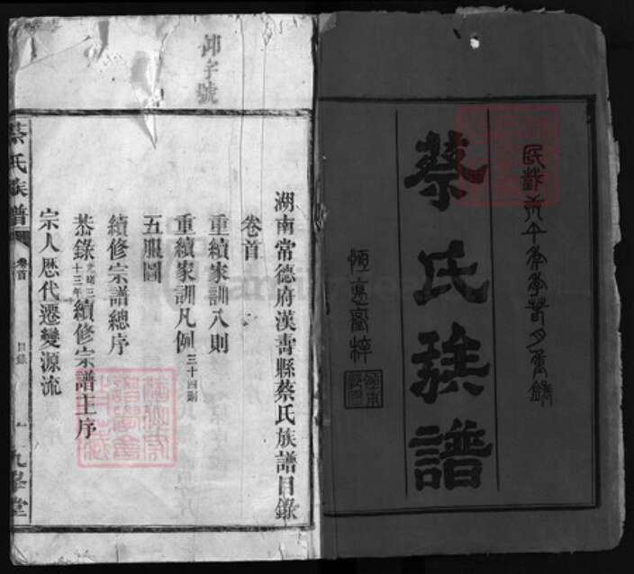 湖南省常德市汉寿县蔡氏九峰堂族谱-蔡氏族谱 [11卷,首1卷].pdf电子版预览图1