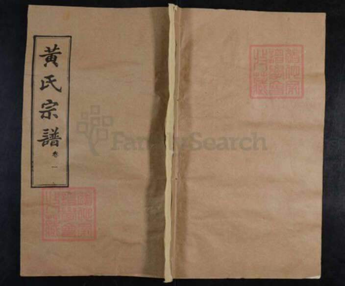 湖北省武汉市新洲区黄氏敦睦堂族谱-黄氏宗谱.pdf电子版缩略图