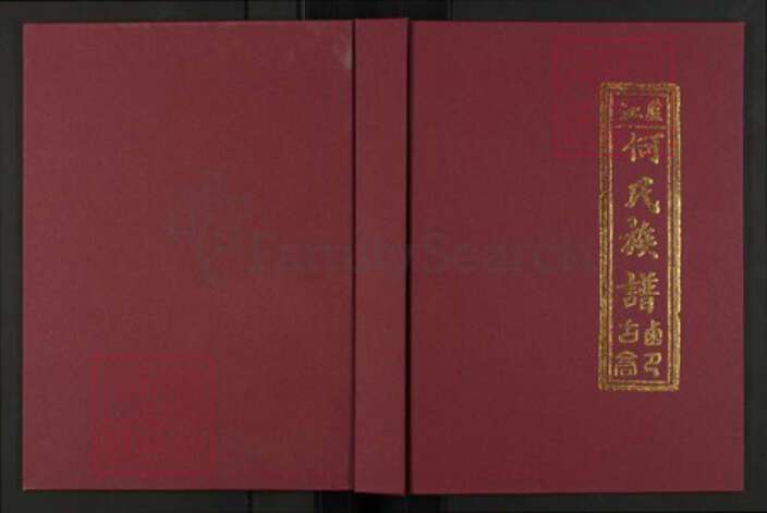 河南省周口市西华县奉母镇河南省周口市西华县何氏族谱-卢江何氏族谱.pdf电子版缩略图