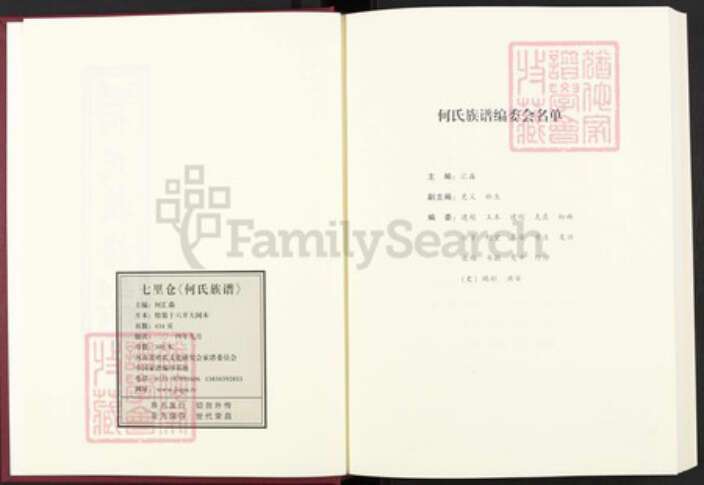 河南省周口市西华县奉母镇河南省周口市西华县何氏族谱-卢江何氏族谱.pdf电子版预览图2