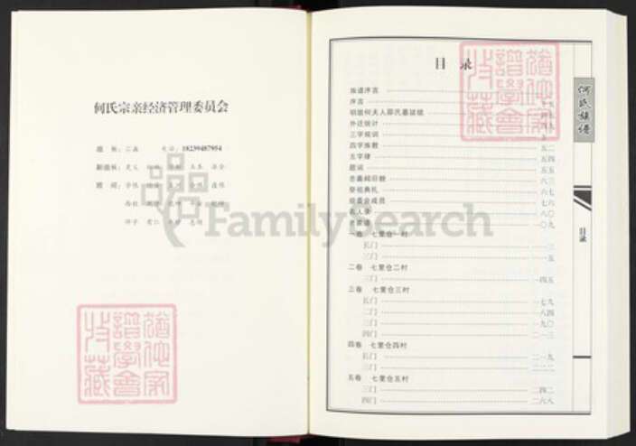 河南省周口市西华县奉母镇河南省周口市西华县何氏族谱-卢江何氏族谱.pdf电子版预览图4