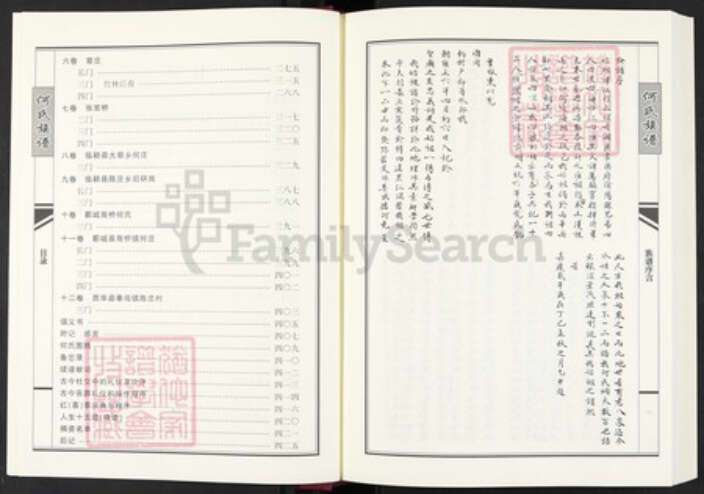 河南省周口市西华县奉母镇河南省周口市西华县何氏族谱-卢江何氏族谱.pdf电子版预览图5