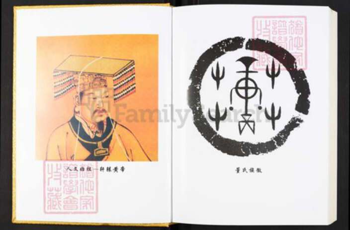 河南省信阳市光山县河南省信阳市光山县董氏族谱-豫光董氏宗谱.pdf电子版预览图2