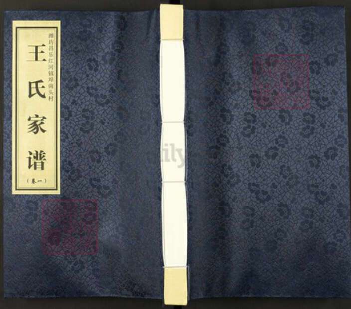 山东省潍坊市昌乐县山东省潍坊市昌乐县红河镇王氏族谱-王氏家谱.pdf电子版缩略图