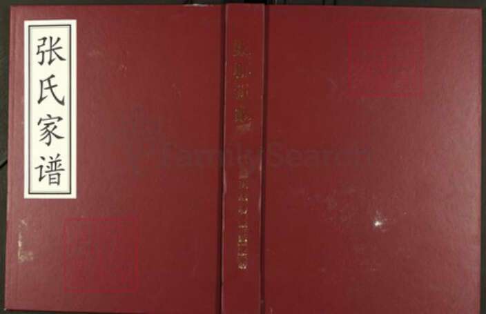 河南省郑州市巩义市张；张氏族谱-张氏家谱.pdf电子版缩略图