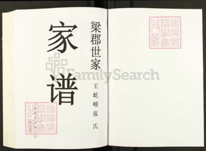 河南省郑州市巩义市张；张氏族谱-张氏家谱.pdf电子版预览图1