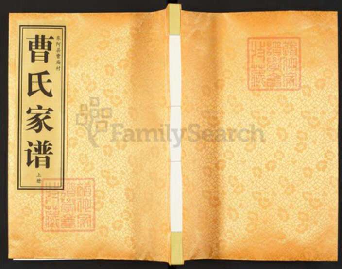 山东省聊城市东阿县山东省聊城市东阿县曹氏大正堂族谱-曹氏家谱.pdf电子版缩略图