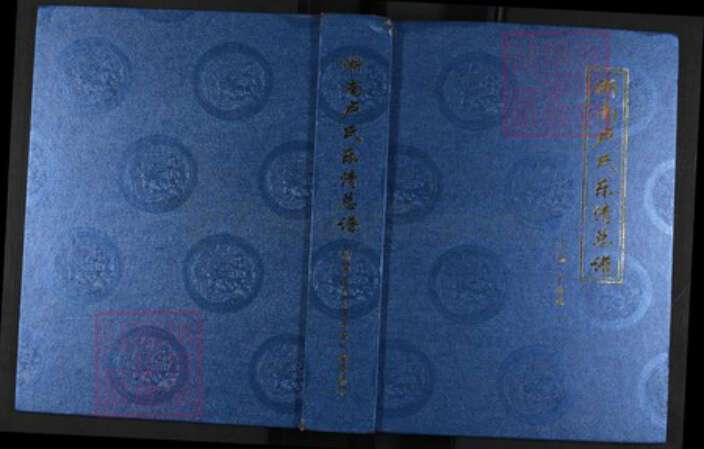 浙江省温州市乐清市浙江省温州市乐清市蒲岐镇卢；卢氏族谱-浙南卢氏乐清总谱.pdf电子版缩略图