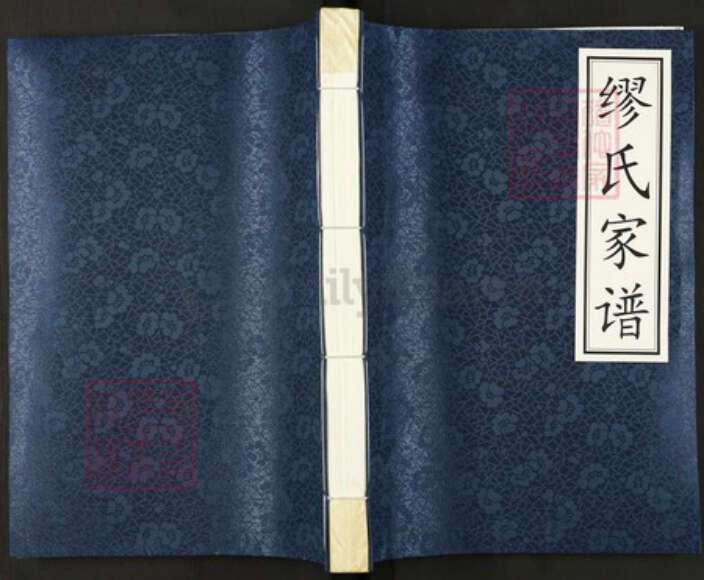 四川省宜宾市江安县阳春镇四川省宜宾市江安县阳春镇缪；缪氏族谱-缪氏族谱.pdf电子版缩略图