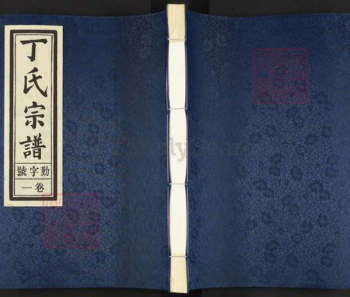 浙江省衢州开化县城关镇浙江省衢州开化县丁氏敬爱堂族谱-丁氏宗谱.pdf电子版缩略图