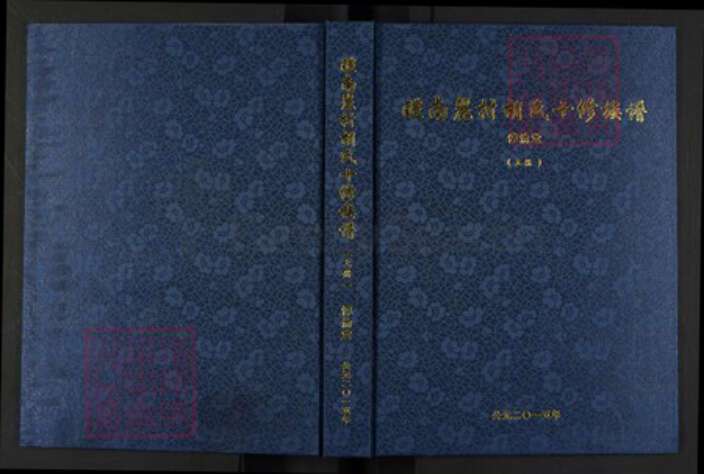 湖南省株洲市醴陵市醴陵湖南省株洲市醴陵市醴陵胡氏惇伦堂族谱-醴南丽村胡氏十修族谱.pdf电子版缩略图