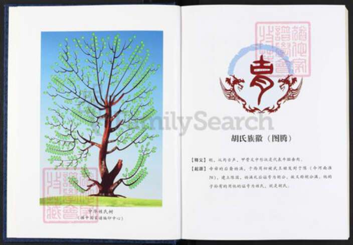 湖南省株洲市醴陵市醴陵湖南省株洲市醴陵市醴陵胡氏惇伦堂族谱-醴南丽村胡氏十修族谱.pdf电子版预览图2