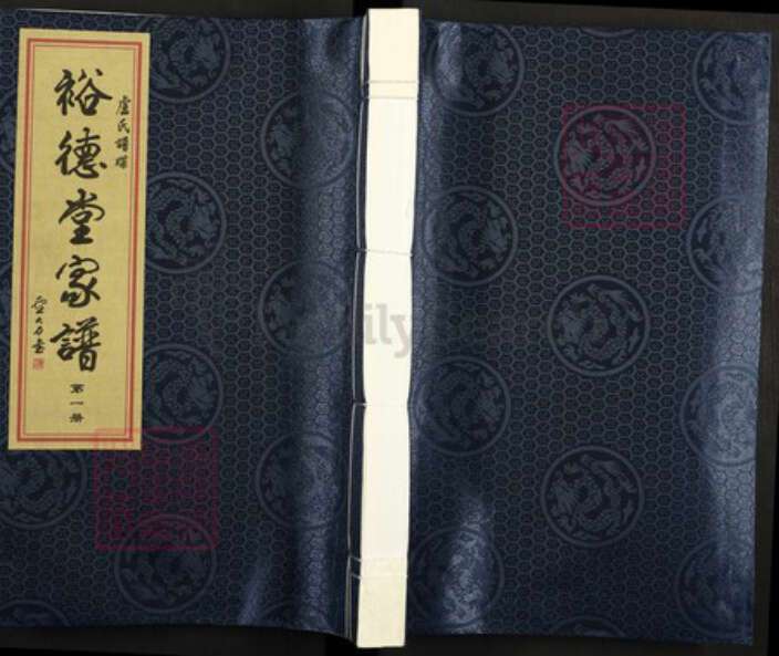 广东省汕尾市陆丰市碣石镇卢氏裕德堂族谱-卢氏牒谱裕德堂家谱.pdf电子版缩略图