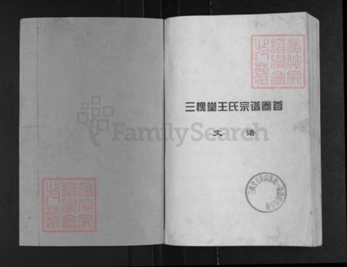 湖北省黄冈市黄州区王氏三槐堂族谱-澴川王氏族谱.pdf电子版预览图1