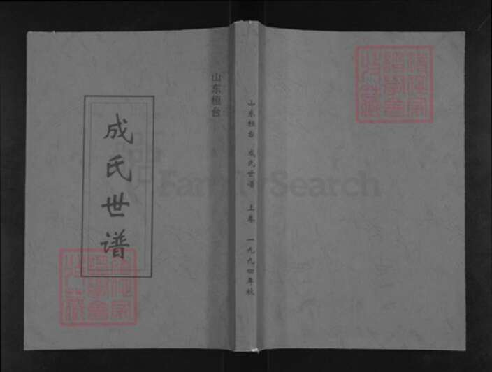 山东省淄博市桓台县成氏族谱-山东桓台成氏世谱.pdf电子版缩略图