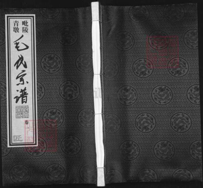 江苏省常州市武进县毛氏敦伦堂族谱-毗陵青墩毛氏宗谱.pdf电子版缩略图