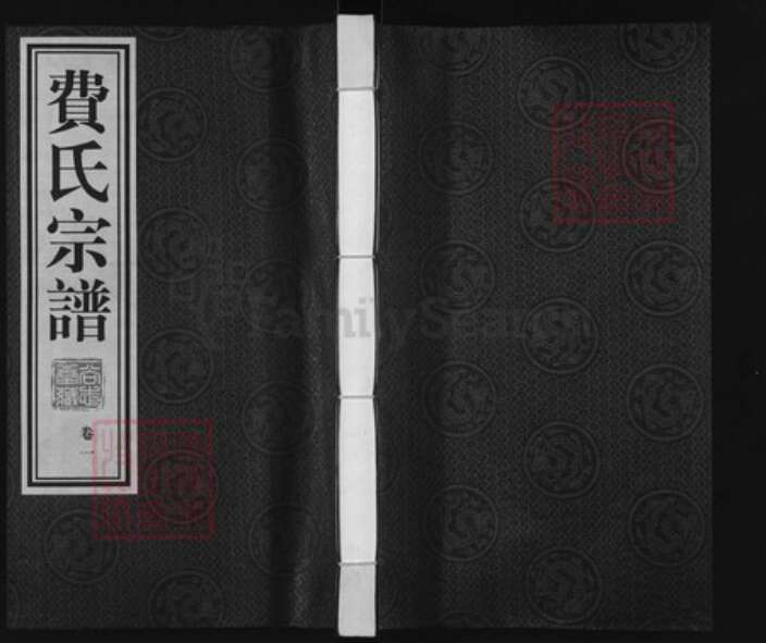 江苏省常州市武进县洛阳镇费氏尚志堂族谱-费氏宗谱.pdf电子版缩略图