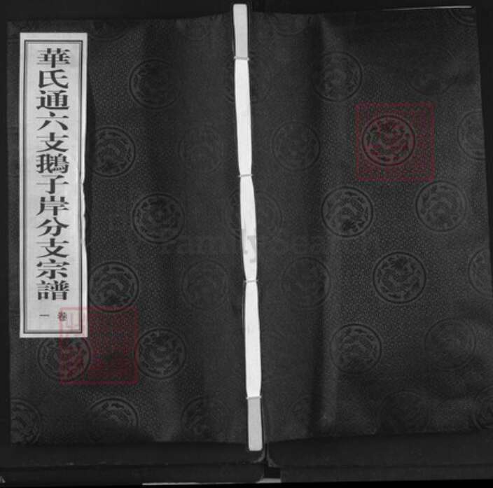 江苏省无锡市锡山区华氏永锡堂族谱-华氏通六支鹅子岸分支宗谱.pdf电子版缩略图