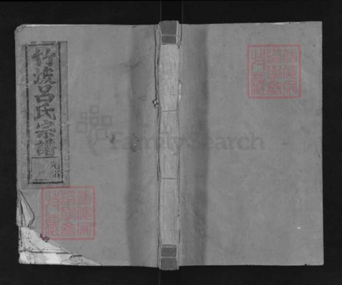 江西省赣州市信丰县吕氏族谱-竹坡吕氏宗谱.pdf电子版缩略图