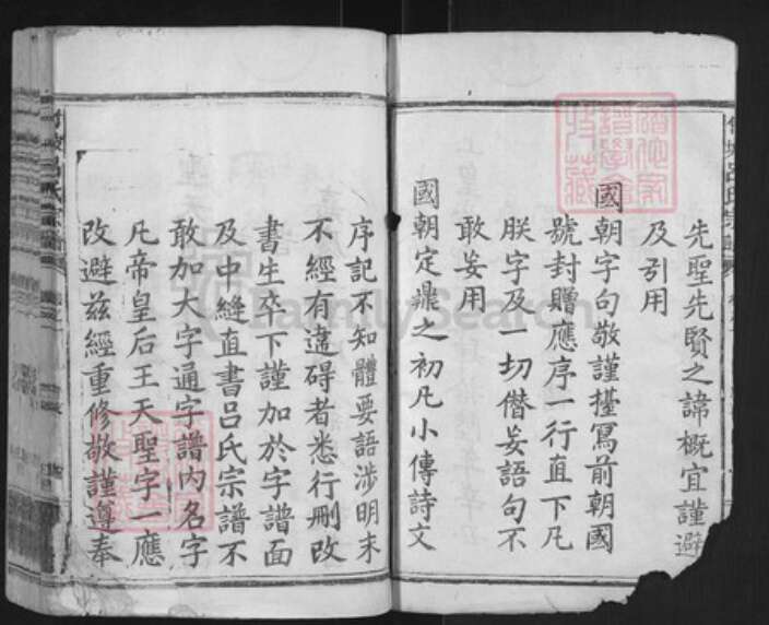 江西省赣州市信丰县吕氏族谱-竹坡吕氏宗谱.pdf电子版预览图2