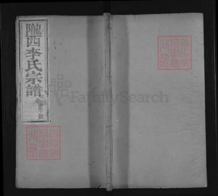 浙江省衢州开化县李氏善庆堂族谱-陇西李氏宗谱.pdf电子版缩略图