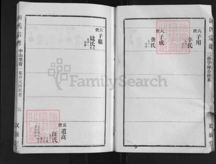 湖北省孝感市汤氏双盛堂族谱-汤氏宗谱.pdf电子版预览图5