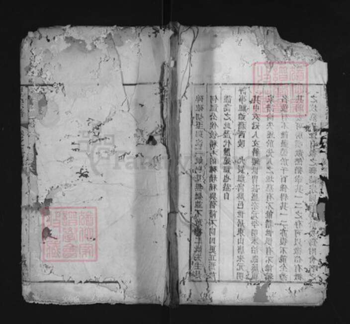 湖北省宜昌市西陵区田氏紫荆堂族谱-田氏宗谱.pdf电子版缩略图