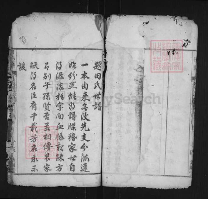 湖北省宜昌市西陵区田氏紫荆堂族谱-田氏宗谱.pdf电子版预览图5