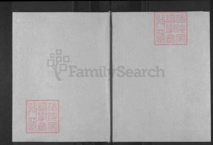 安徽省滁州市天长市杨村镇施氏本仁堂族谱-施氏宗谱.pdf电子版缩略图