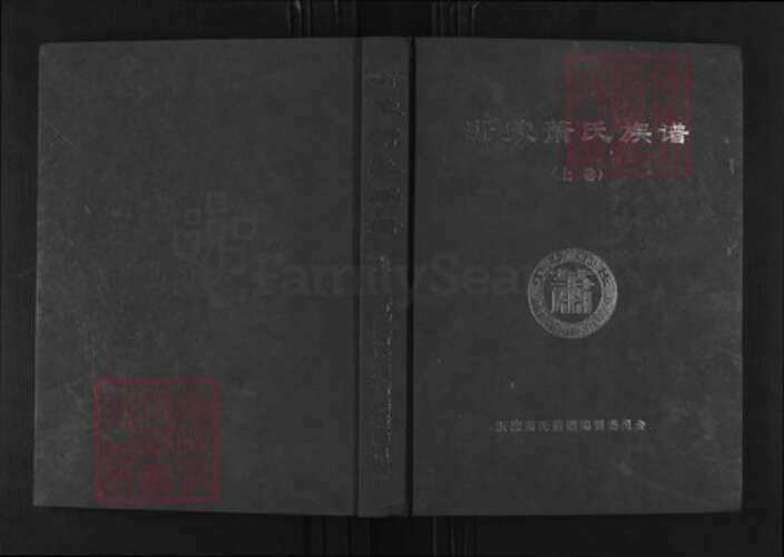 山东省临沂市沂南县依汶镇萧氏兰陵堂族谱-沂蒙萧氏族谱.pdf电子版缩略图