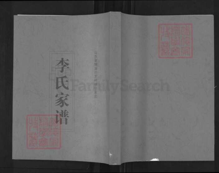 山东省淄博市淄川区李氏族谱-李氏家谱.pdf电子版缩略图