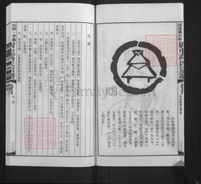 山西省吕梁市孝义市梧桐镇高氏族谱-山西孝义同马里六甲尉屯高氏宗谱.pdf电子版预览图3