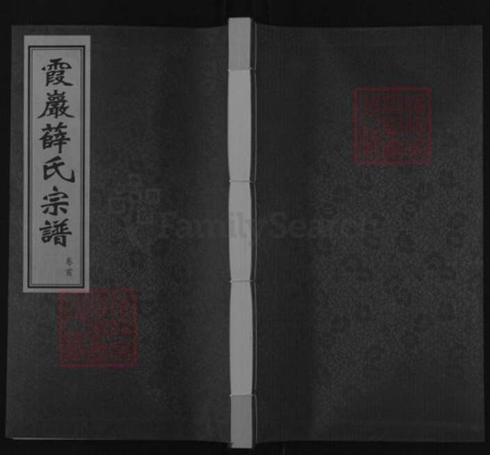 江苏省常州市武进县前黄镇薛氏三凤堂族谱-霞岩薛氏宗谱.pdf电子版缩略图