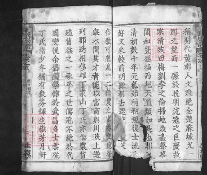 湖北省黄冈市红安县杏花乡湖北省黄冈市麻城市南湖街道丁氏生松堂族谱-丁氏宗谱.pdf电子版预览图2