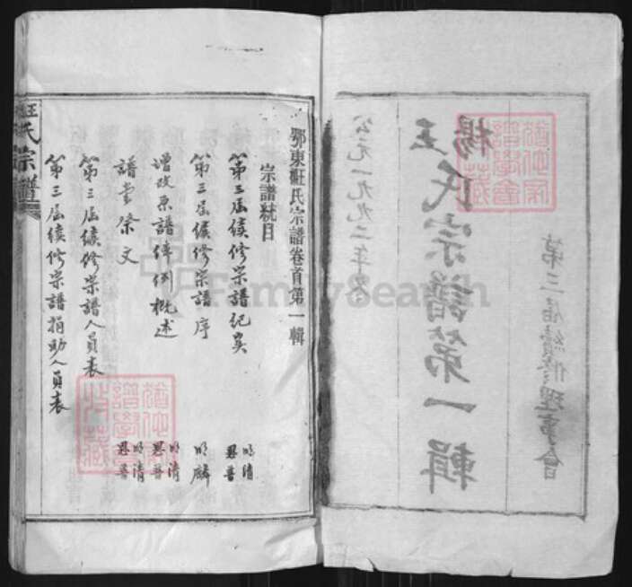 湖北省黄冈市麻城市南湖街道王氏四知堂族谱-王杨氏宗谱.pdf电子版预览图2