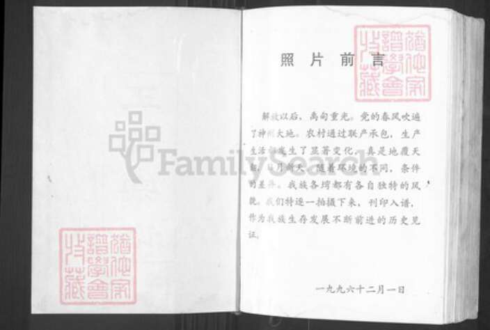 湖北省武汉市黄陂区黄陂王氏三槐堂族谱-王氏宗谱.pdf电子版预览图2