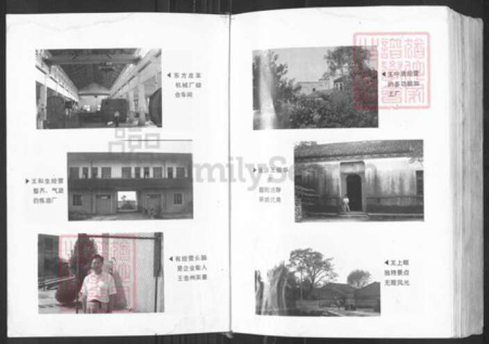 湖北省武汉市黄陂区黄陂王氏三槐堂族谱-王氏宗谱.pdf电子版预览图5