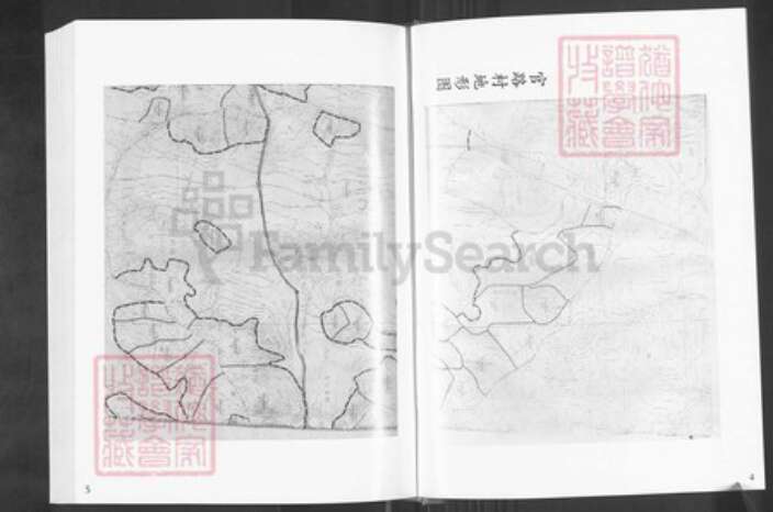 福建省福州市福清市三山镇王氏中山堂族谱-中山堂福清官路王氏族谱.pdf电子版预览图5