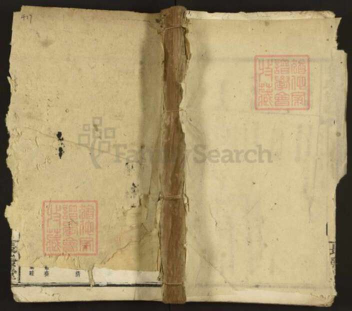 湖南省岳阳市平江县南江镇李氏长发堂族谱-李氏族谱.pdf电子版缩略图