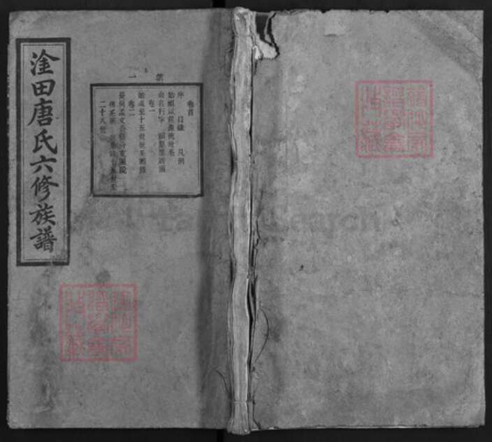 湖南省株洲市渌口区淦田镇唐氏修厡堂族谱-淦田唐氏六修族谱.pdf电子版缩略图