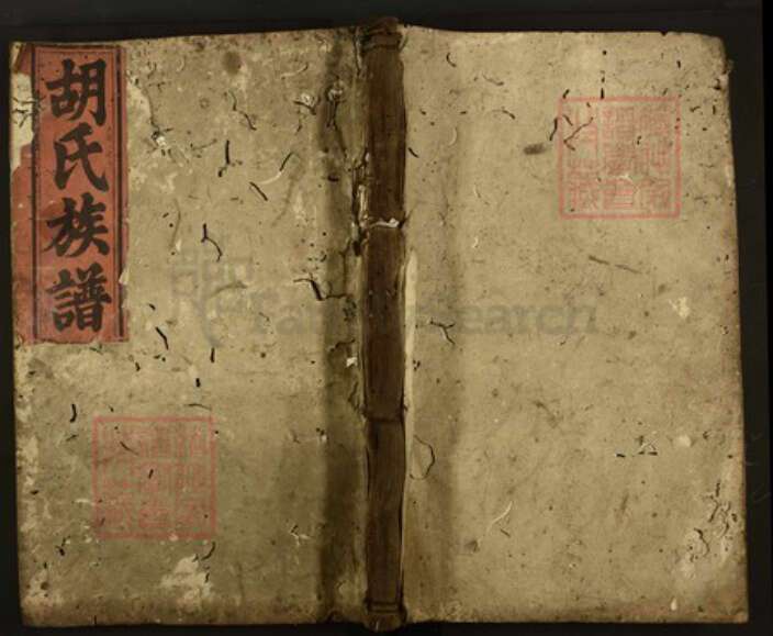 湖南省怀化市黔阳湖南省怀化市洪江市沙湾乡胡氏作述堂族谱-安定胡氏族谱.pdf电子版缩略图