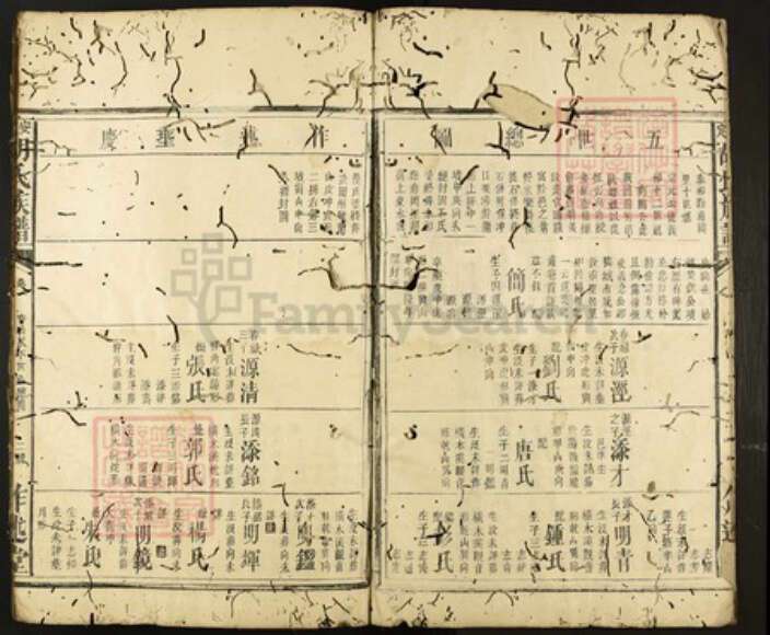 湖南省怀化市黔阳湖南省怀化市洪江市沙湾乡胡氏作述堂族谱-安定胡氏族谱.pdf电子版预览图2