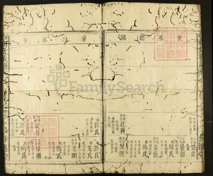 湖南省怀化市黔阳湖南省怀化市洪江市沙湾乡胡氏作述堂族谱-安定胡氏族谱.pdf电子版预览图5