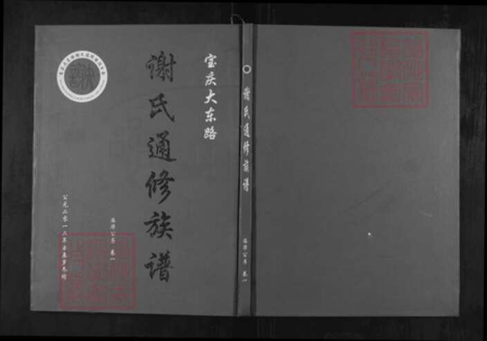 湖南省邵阳市邵东湖南省邵阳市邵东市谢；谢氏宝树堂族谱-谢氏通修族谱.宝庆大东路.pdf电子版缩略图