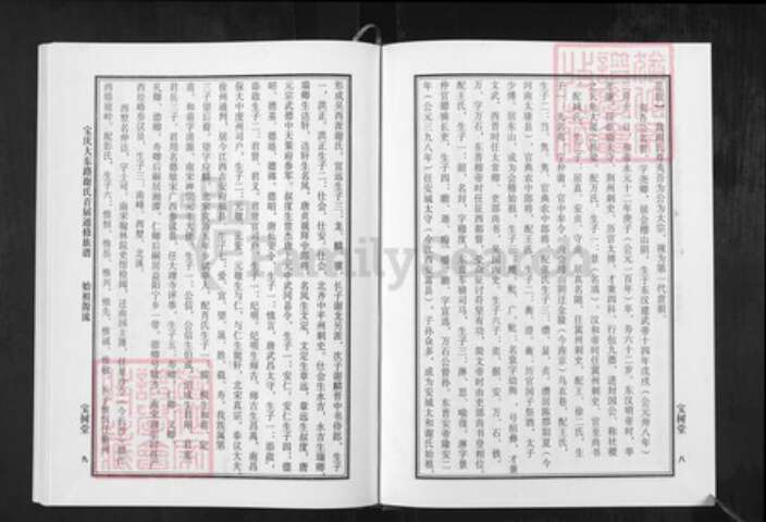 湖南省邵阳市邵东湖南省邵阳市邵东市谢；谢氏宝树堂族谱-谢氏通修族谱.宝庆大东路.pdf电子版预览图5