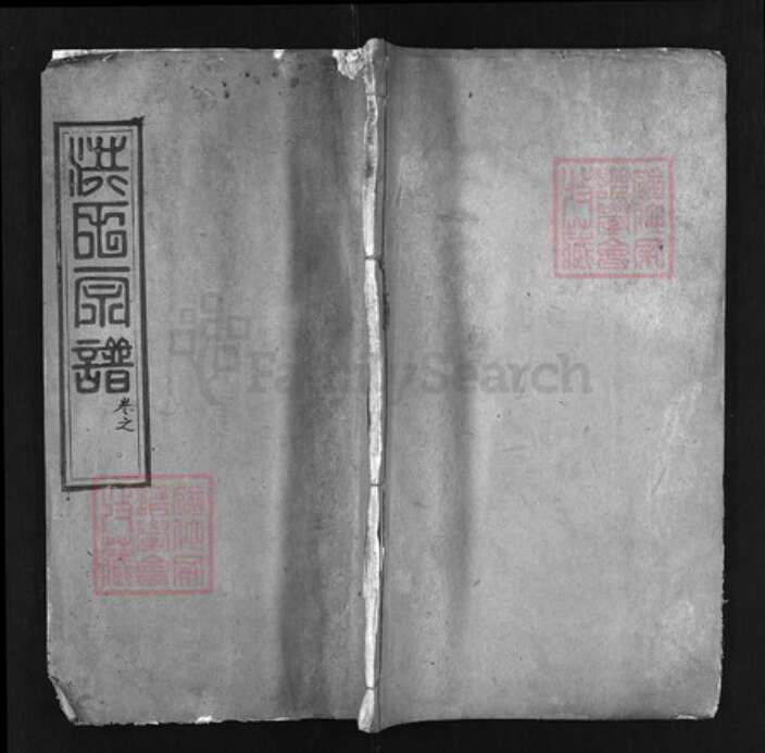 湖北省黄冈市红安县杏花乡洪氏义居堂族谱-洪氏宗谱 [8卷,首1卷].pdf电子版缩略图