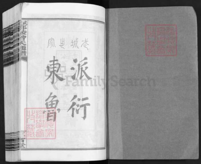 江西省宜春市上高县田心镇曾氏三省堂族谱-武城邵陵曾氏通谱.pdf电子版预览图1