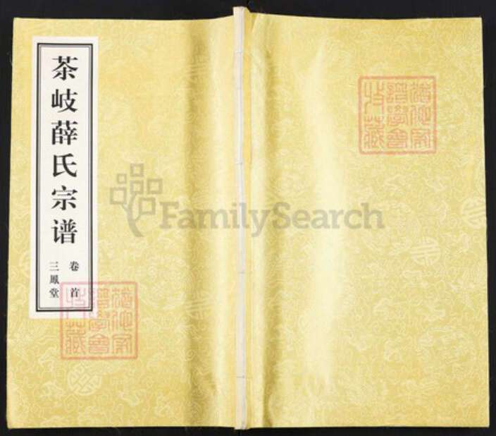 江苏省无锡市江阴市薛氏三凤堂族谱-茶岐薛氏宗谱.pdf电子版缩略图