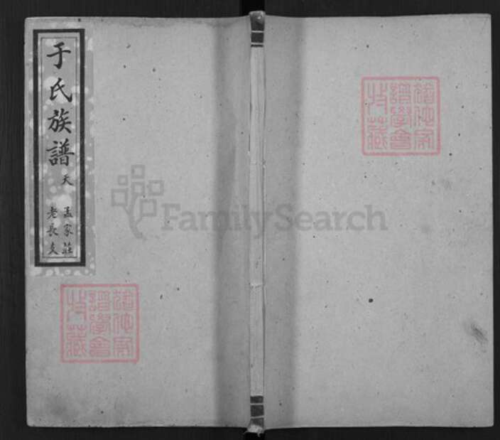 山东省泰安市东平县山东省泰安市于氏族谱-于氏族谱.pdf电子版缩略图